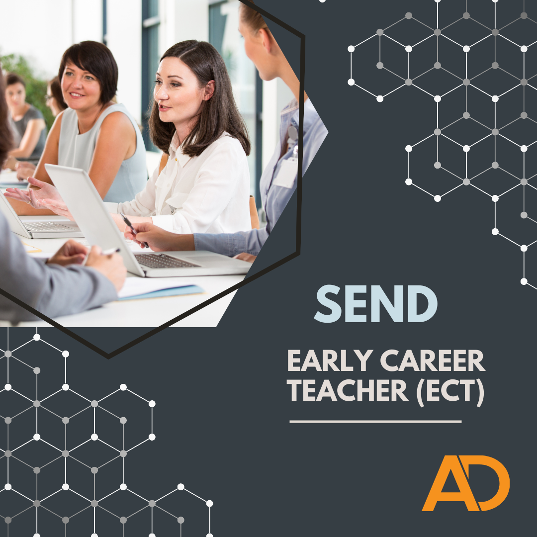 Early Career Teacher